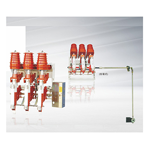 FKN12A-12/FKRN12A—12系列壓氣負(fù)荷開(kāi)關(guān)—熔斷器組合電器