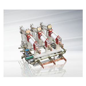 ZFN21 -12D/T630-20、ZFN21-12DR/T125-31.5型高壓真空負(fù)荷開(kāi)關(guān)及組合電器